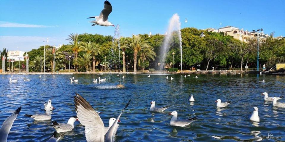 Апартаменти Torrevieja Experience Mar 2 Екстер'єр фото
